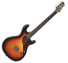 Variax 500