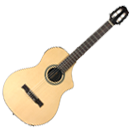 Variax Acoustic 300 Nylon