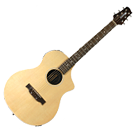 Variax Acoustic 300 Steel