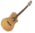 Variax Acoustic 