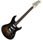 Variax Standard