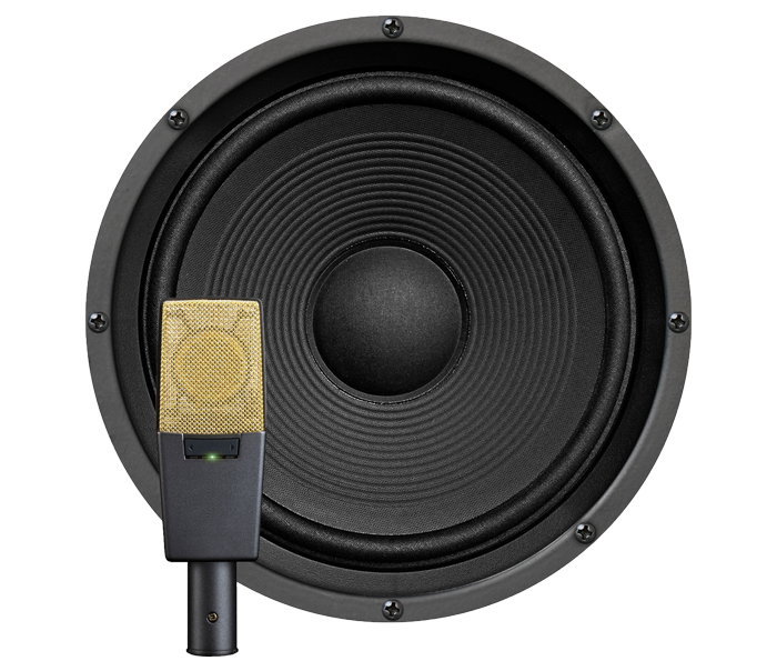 Front of an amp speaker and a microphone in front