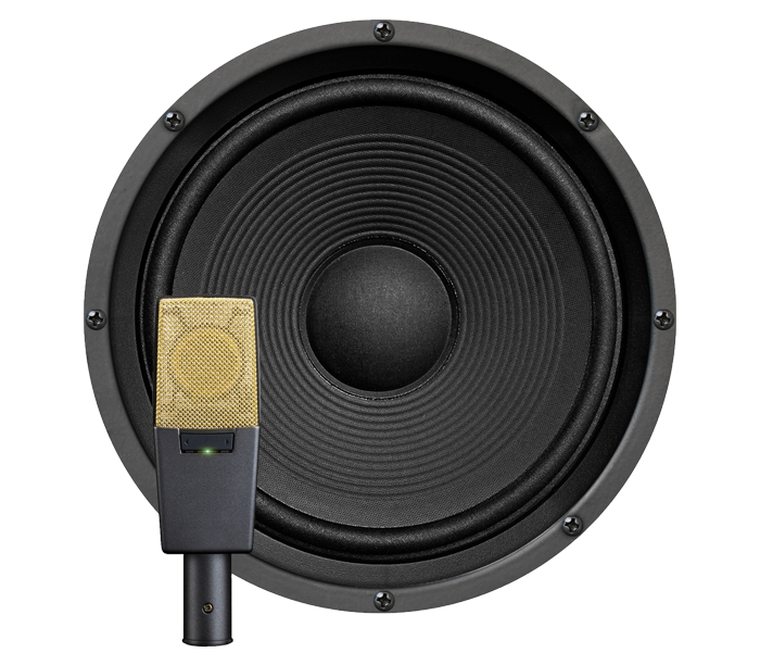 Front of an amp speaker and a microphone in front