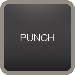 PUNCH