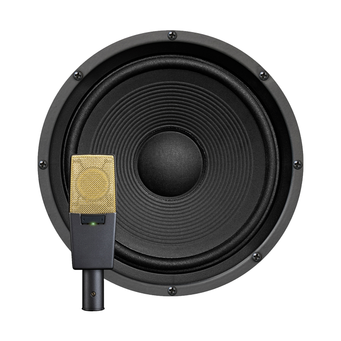 Front of an amp speaker and a microphone in front